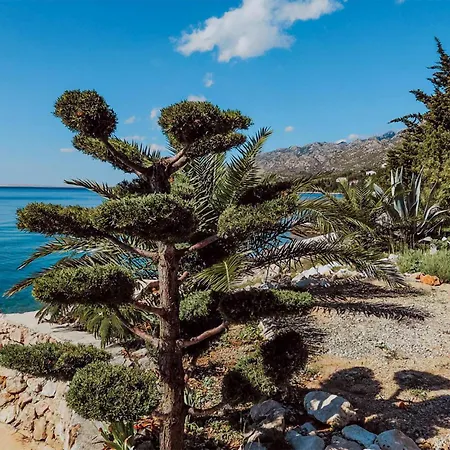 Awesome In With Wi-fi Σπίτι διακοπών Starigrad Paklenica